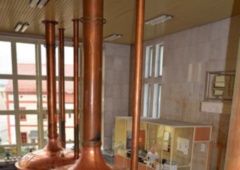 pivovar-rakovnik_3.jpg